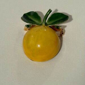 Orange Fruit Brooch - Original by Robert